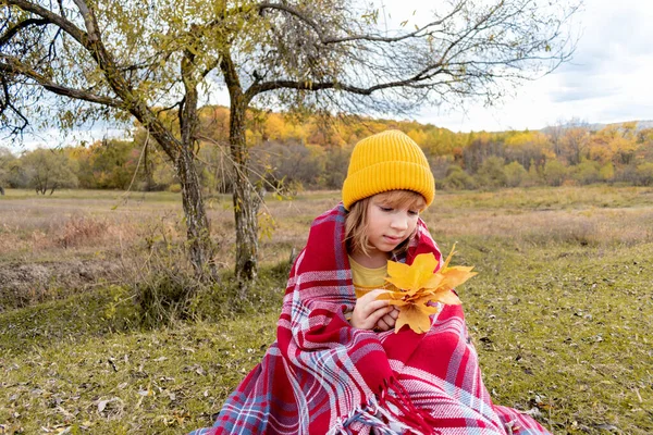 Dívka Žlutém Pleteném Svetru Držící Listy Sedí Dece Útulná Koncepce — Stock fotografie