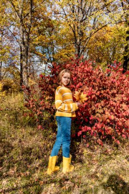 Sarı örülü süveter giyen bir kız bir kucak dolusu yaprak tutuyor. Rahat, yavaş yaşam tarzı konsepti. Çayırda piknik. Sonbahar aylarında sıcak içecekle ısınırsın..
