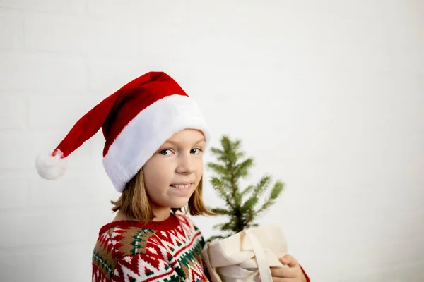 Zero Marnotrawstwa Choinki Ekologiczne Dekoracje Wakacje Dziewczyna Kapeluszu Świętego Mikołaja — Zdjęcie stockowe