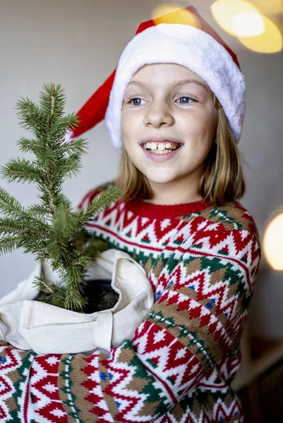 Zero Marnotrawstwa Choinki Ekologiczne Dekoracje Wakacje Dziewczyna Kapeluszu Świętego Mikołaja — Zdjęcie stockowe