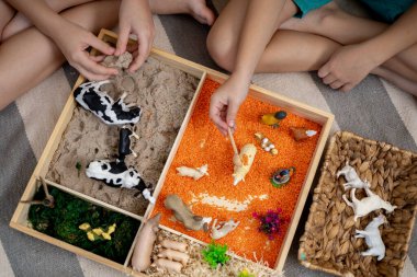İçinde gökkuşağı pirinci olan dokunmatik çekmece. Çocuklar dokuya dokunur ve kumları dağıtırlar. Bebekler için Montessori maddi konsepti. Hayvan heykelcikleriyle fantezi oyunu.
