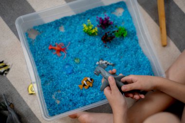 İçinde gökkuşağı pirinci olan dokunmatik çekmece. Çocuklar dokuya elleriyle dokunur. Bebekler için Montessori maddi konsepti. Figür deniz yaşamı.