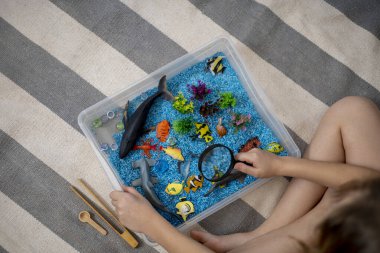 İçinde gökkuşağı pirinci olan dokunmatik çekmece. Büyüteçle bak. Bebekler için Montessori maddi konsepti. Figür deniz yaşamı.