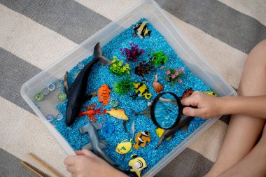 İçinde gökkuşağı pirinci olan dokunmatik çekmece. Büyüteçle bak. Bebekler için Montessori maddi konsepti. Figür deniz yaşamı.