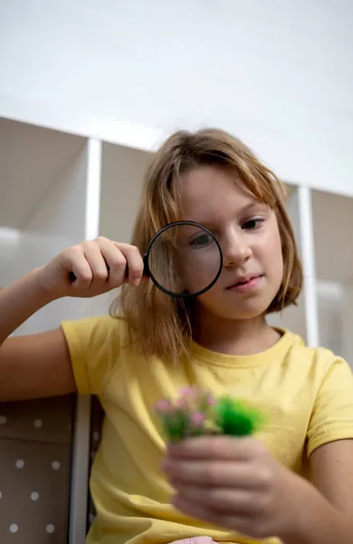 Barnet Undersöker Växten Genom Ett Förstoringsglas Montessori Utbildning Hemma Koncept — Stockfoto