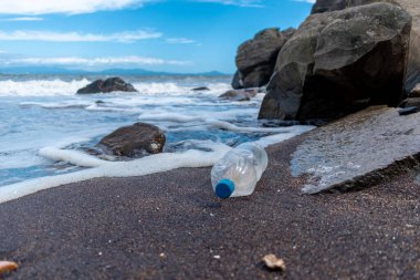 Deniz kıyısına atılan çöpler. Çevre kirliliği kavramı. Ekolojik bir sorun. Gezegenin ekosisteminin bozulması.