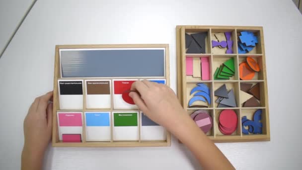 Girls Hand Jest Gra Sortowanie Puzzle Kolorowe Drewniane Kształty Geometryczne — Wideo stockowe