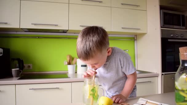 Dorosła Kobieta Pije Lemoniadę Synem Odświeżający Napój Letni Upał Wegetariańskie — Wideo stockowe