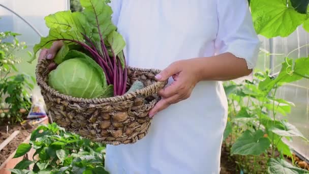 Farmer Hands Holding Wicker Basket Vegetables Eco Friendly Agriculture Harvested — Video