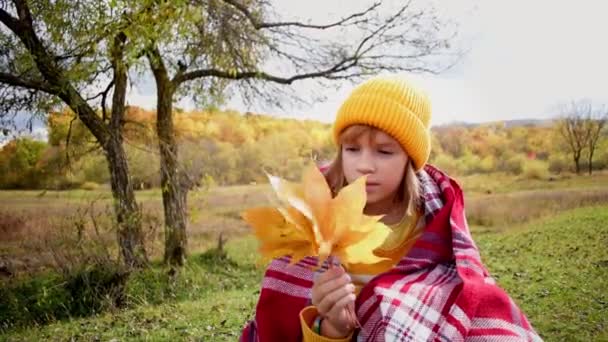 子供の女の子は秋の森の中でチェックされた毛布で身を覆いました 人々は自然と一つです 健康の概念 真正性 バランスと落ち着きの感覚を大事にする — ストック動画