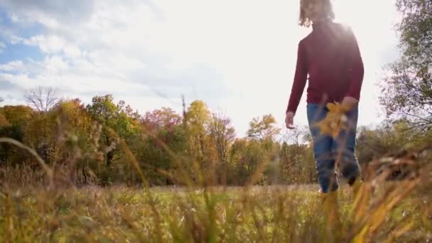 Een Meisje Loopt Langzaam Een Veld Met Herfstgras Mensen Zijn — Stockvideo