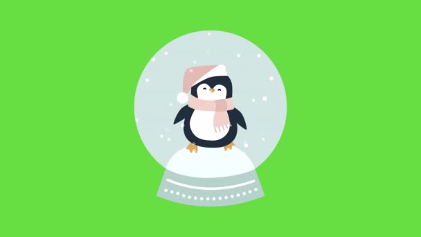 4k video de dibujos animados icono de pingüino sobre fondo verde. — Vídeo de stock