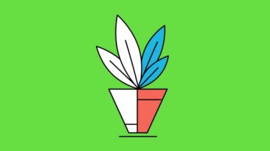 4k video of home decorative and deciduous plants in a flat style.