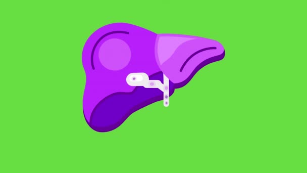 4k video of cartoon human liver icon on green background. — стоковое видео