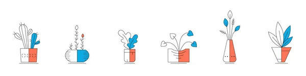 Vector illustration of cartoon green house plants in pots set