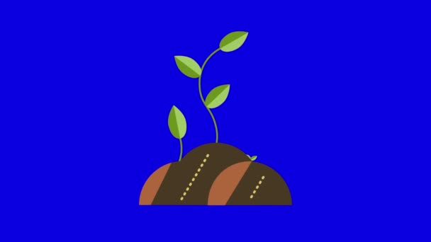 4k відео мультиплікаційного шматка землі з рослиною на синьому фоні . — стокове відео