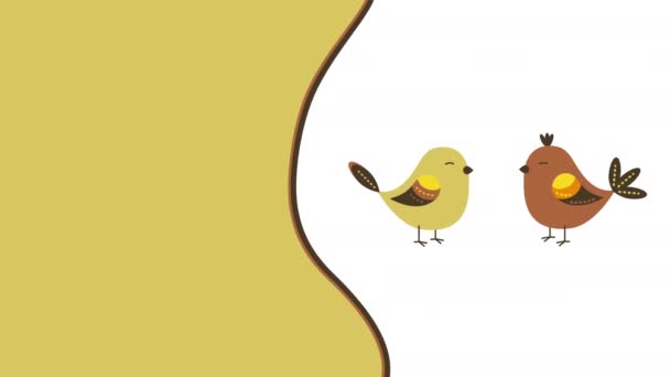 4k video of cartoon two birds in flat design. — Stock Video