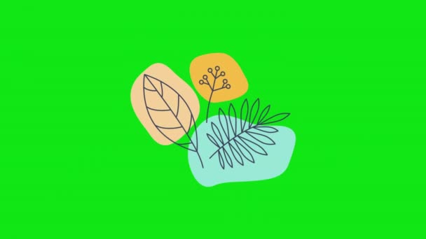 Vidéo 4k de dessin animé motif floral sur fond vert. — Video