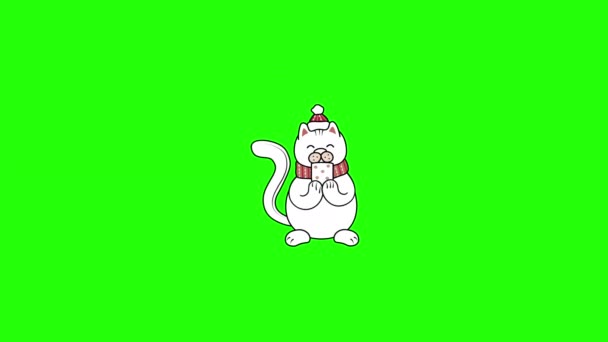 4k video of cartoon cat on green background. — Stock Video ©  VectorSolutions #559792782