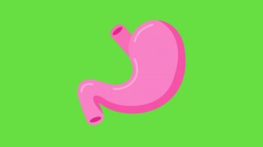 Yeşil arka planda pembe karın karikatürü 4k video.