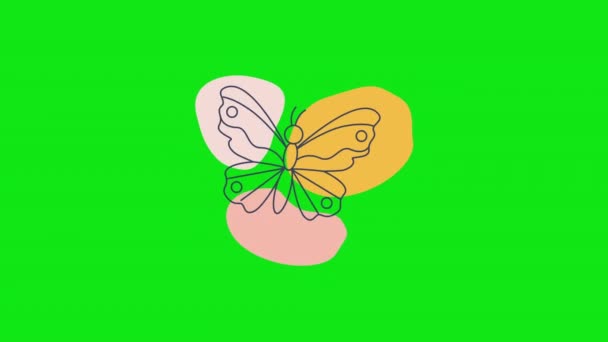 Vidéo 4k de papillon dessin animé dans le style doodle sur fond vert. — Video