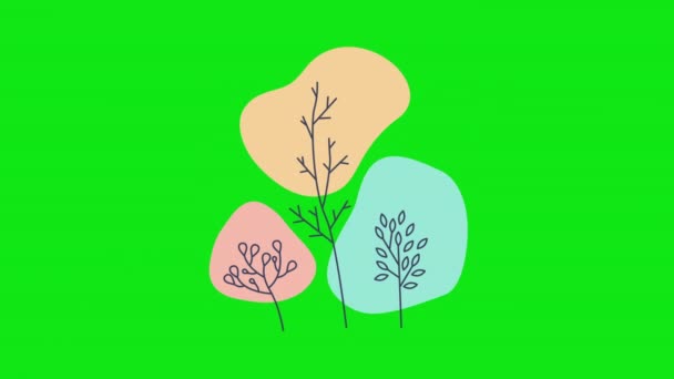 Vidéo 4k de plantes tiges dans le style doodle. — Video