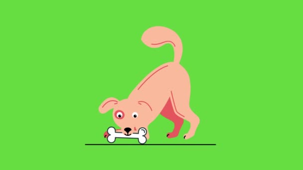 4k відео мультяшної собаки з кісткою в роті на зеленому фоні . — стокове відео