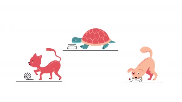4k vídeo de animais de estimação dos desenhos animados definido no fundo branco. — Vídeo de Stock