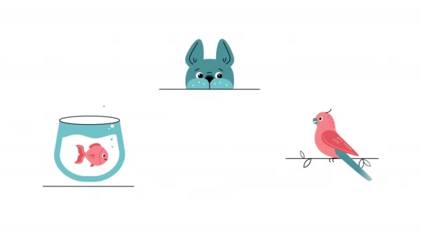 4k video de dibujos animados mascotas conjunto sobre fondo blanco. — Vídeo de stock