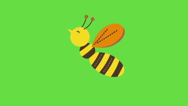 4k video kreslené včely na zeleném pozadí. — Stock video