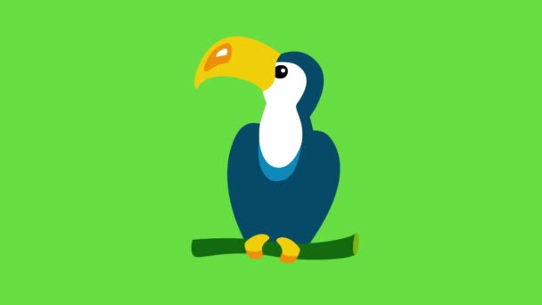 4k video of cartoon bird toucan on green background. — Stock Video © VectorSolutions #571906780 4k video of cartoon bird toucan on green background. — Stock Video © VectorSolutions #571906780
