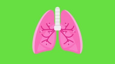 Yeşil arka planda pembe akciğerli karikatür videosu. Akciğer kavramı.