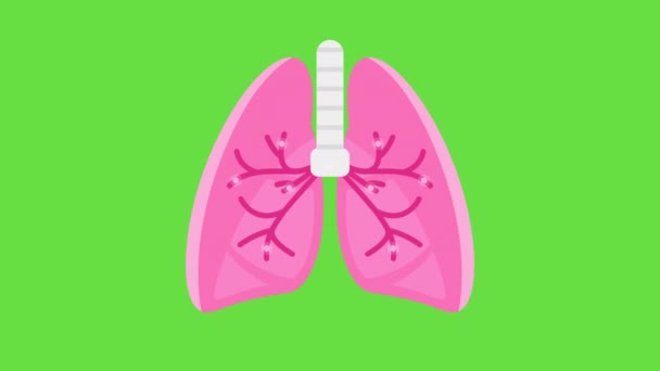 Відео Мультиплікаційних Рожевих Легенів Зеленому Фоні Концепція Легень — стокове відео