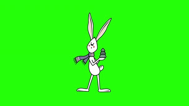 4K卡通兔子绿色背景的视频 兔子的概念 — 图库视频影像