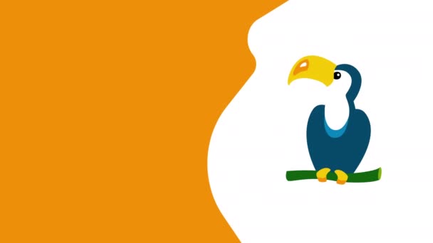 Video Cartoon Bird Toucan White Background Concept Carnaval — Stock Video