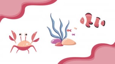 4k animation set of algae, fish on white blackground. Concept of marine life.