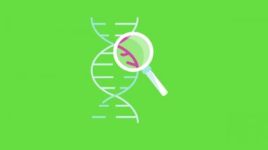 4k video of abstract DNA and germs on green background. Concept of genetics.