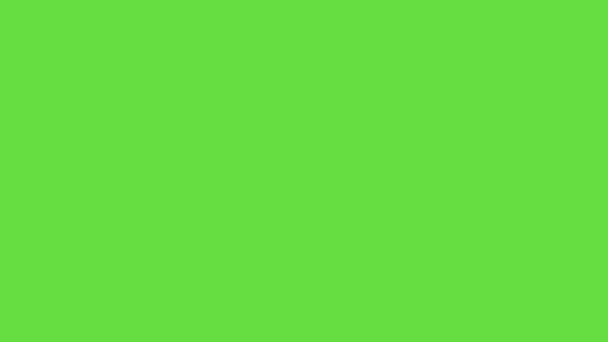 Video Lightning Strike Simple Icon Green Background Concept Lighting Strike — Stockvideo