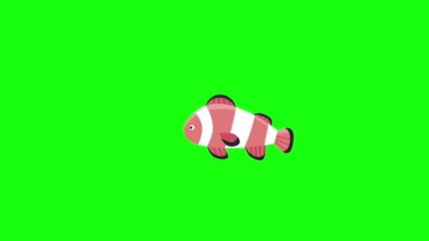 Відео Мультиплікаційної Клоун Риби Зеленому Фоні Концепція Підводного — стокове відео