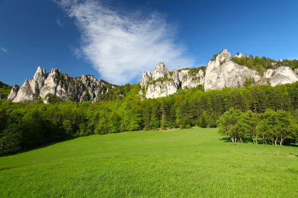 Schöne Aussicht auf die österreichischen Alpen — Stockfoto