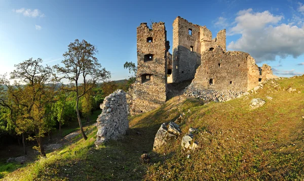 Hrusov 城堡的废墟 — 图库照片