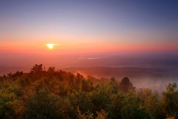 Groen bos berg bij zonsondergang met zon — Stockfoto