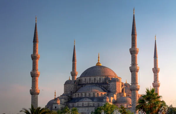 Blue Mosque, art masterpiece of Istanbul, Turkey. — Stock Photo, Image