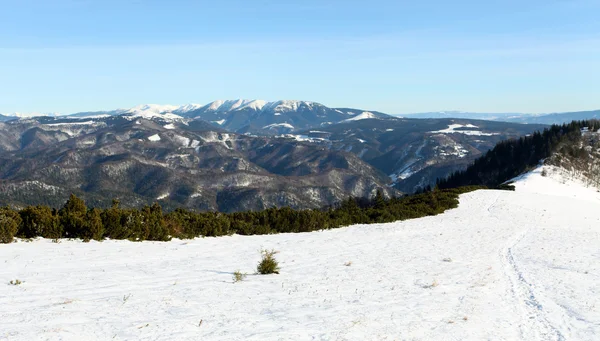 WInter montagne paesaggio con cielo blu nella giornata di sole — Foto Stock