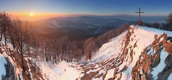 Beau coucher de soleil d'hiver avec des arbres dans la neige — Photo