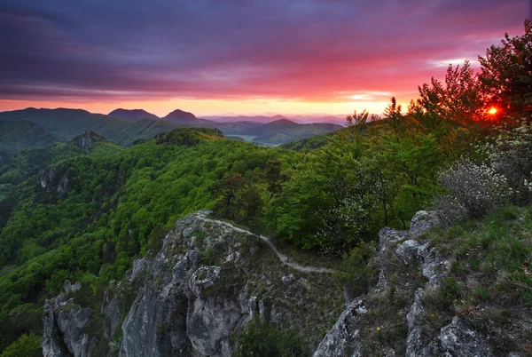 태양 석양에 녹색 숲 산 — 스톡 사진