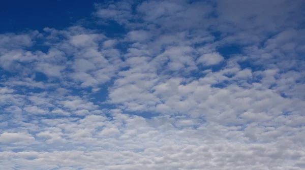 Un cielo azul profundo con nubes blancas esponjosas —  Fotos de Stock