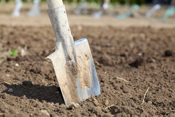 Schop in de grond voorraad — Stockfoto