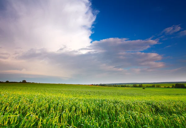 Drammatico clound sul campo primaverile — Foto Stock