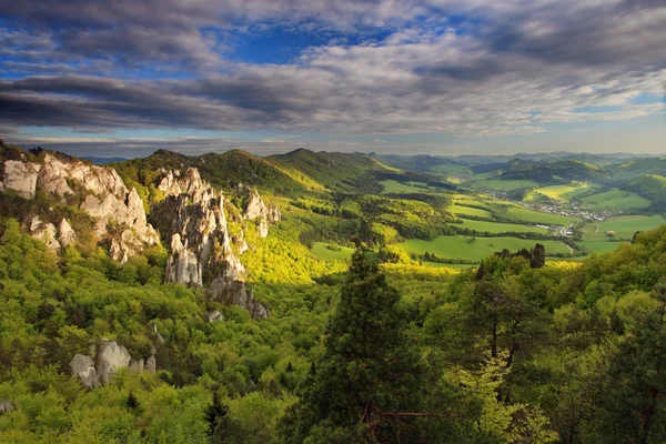 Schöne Aussicht auf die slowakischen Berge. — Stockfoto